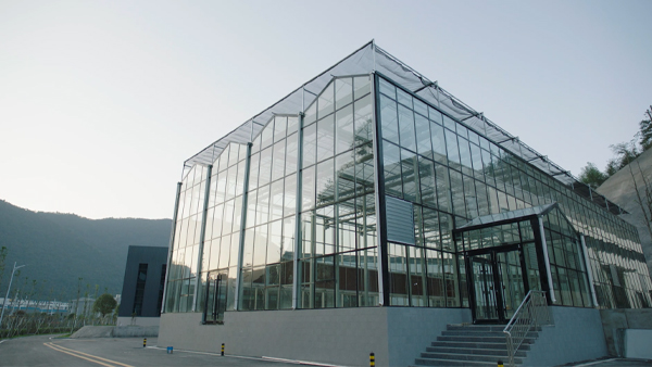 大國戰略博弈生物制造，合成生物企業如何把握百年機遇？